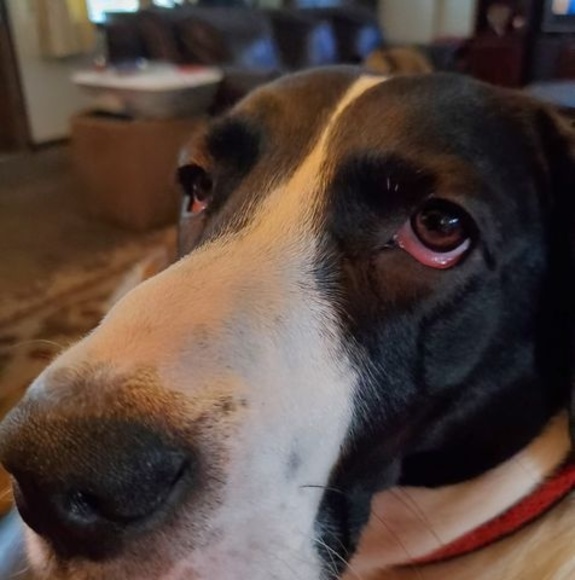 Meet your Posher, Mary - Picture 1 of 1